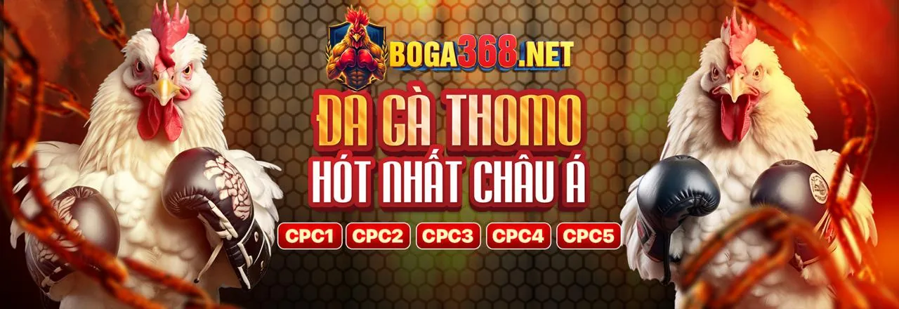 Giấy phép hoạt động và quy định pháp lý của nền tảng game bài uy tín